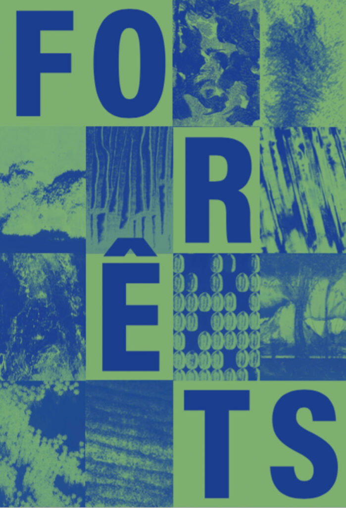 Expositions : Expo Forêts