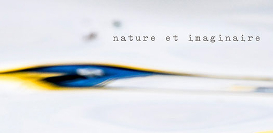Expositions : Expo Nature et Imaginaire