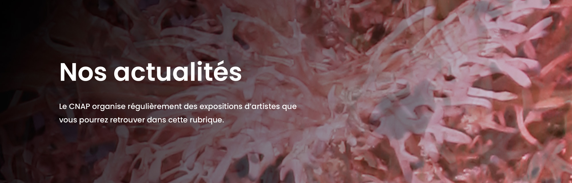 Actualités CNFAP
