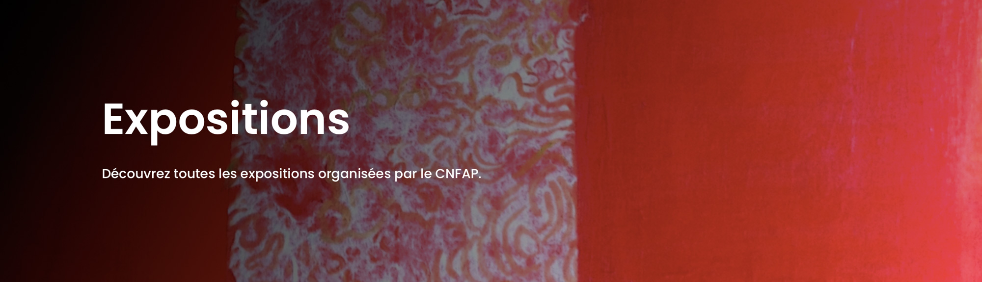 Expositions du CNFAP
